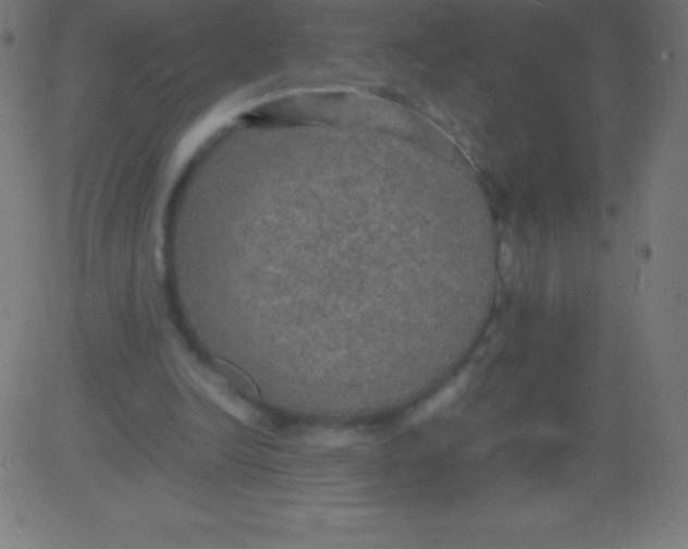 X0000081310246200702012341