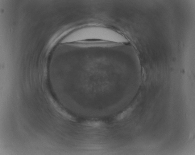 X0000081310247200702012341