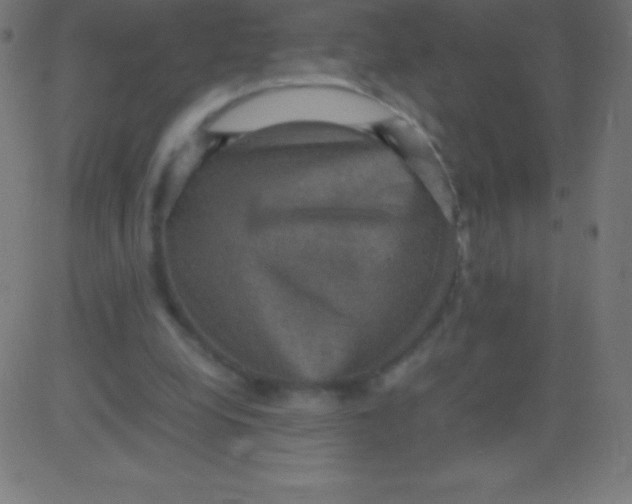 X0000081310248200702012341