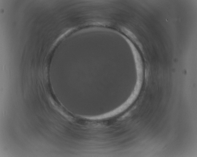 X0000081310249200702012341