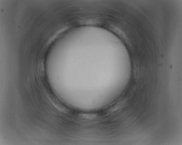 X0000081310251200702012341