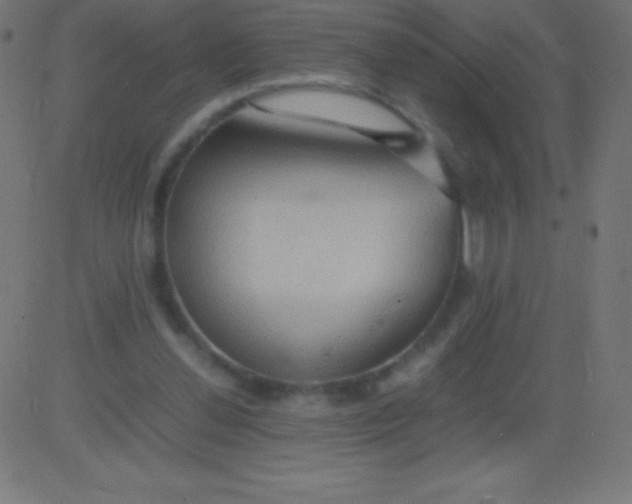 X0000081310252200702012341