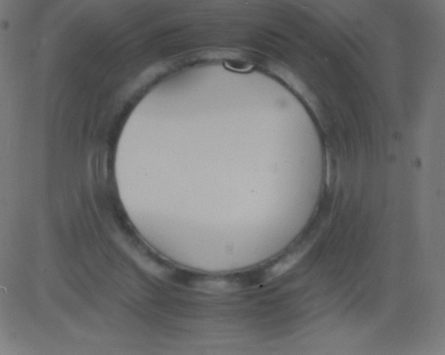 X0000081310253200702012341