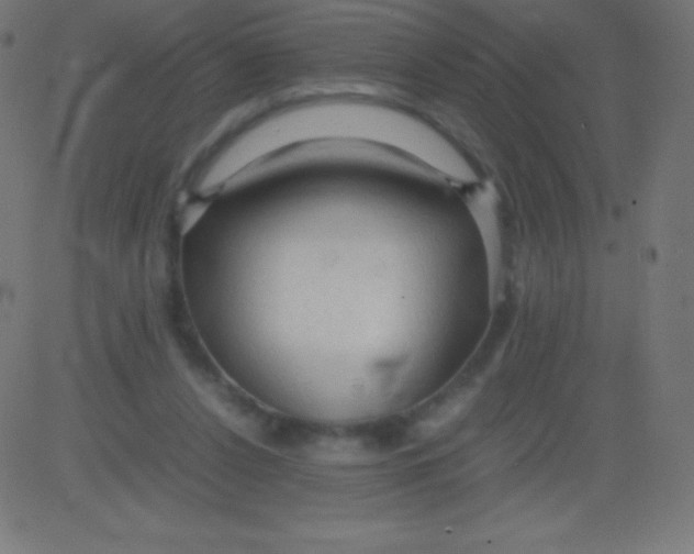 X0000081310256200702012341