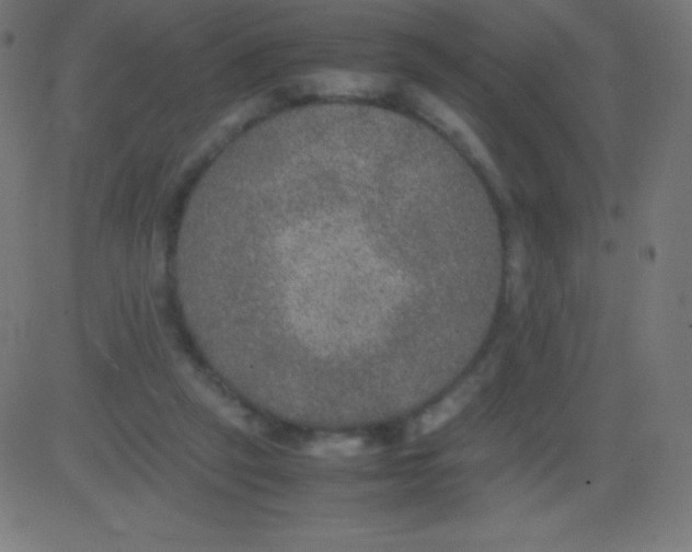 X0000081310257200702012341