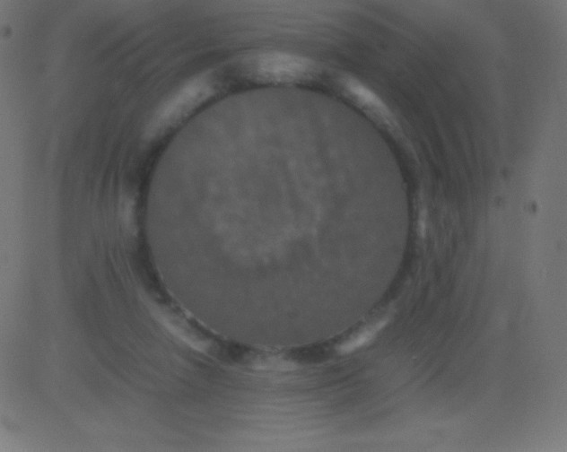 X0000081310258200702012341