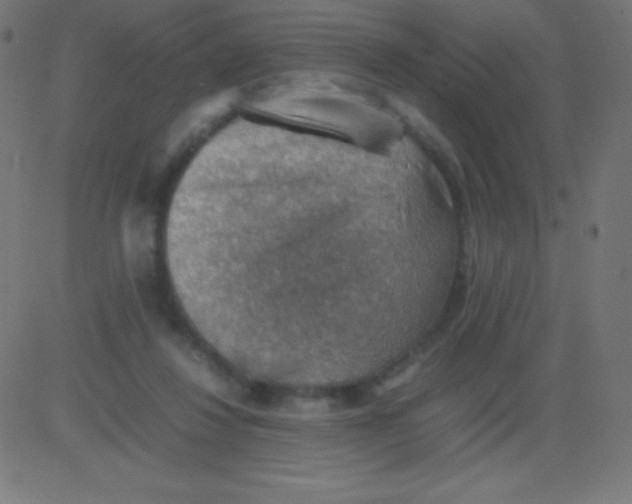 X0000081310260200702012341