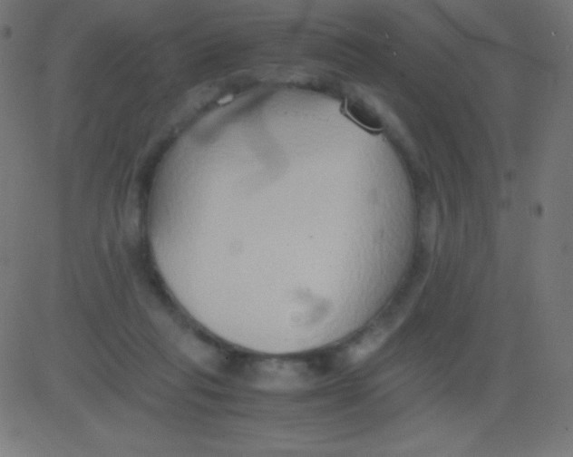 X0000081310261200702012341