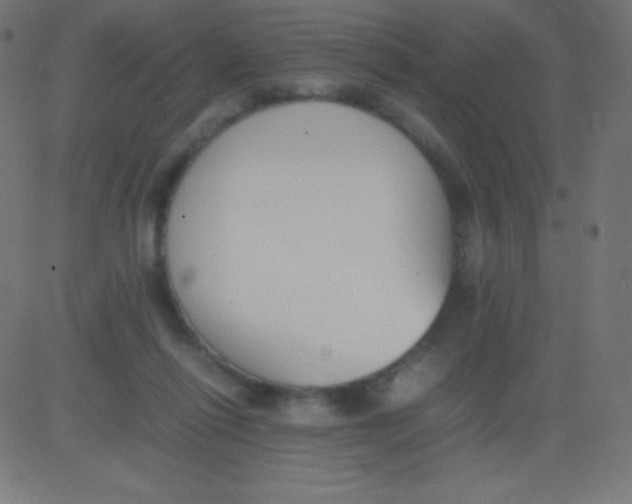 X0000081310262200702012341