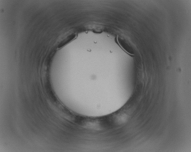 X0000081310263200702012341