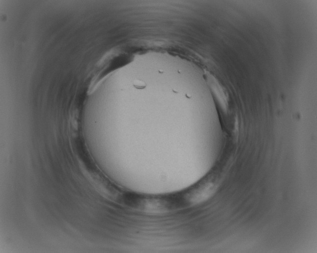 X0000081310264200702012342