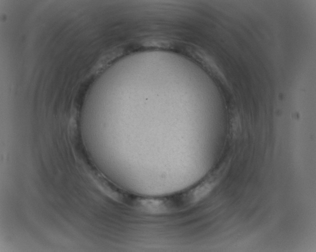 X0000081310265200702012342