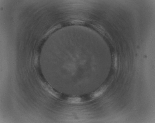 X0000081310266200702012342