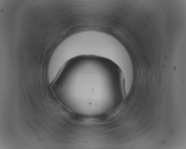 X0000081310268200702012342