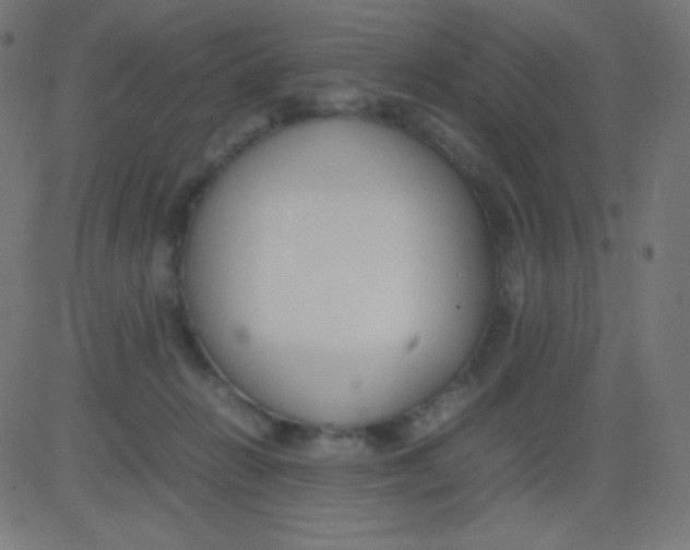 X0000081310270200702012342