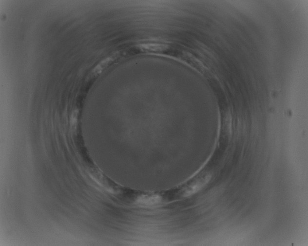 X0000081310271200702012342