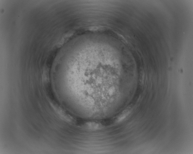 X0000081310272200702012342