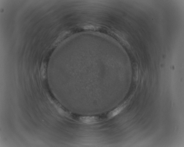 X0000081310273200702012342