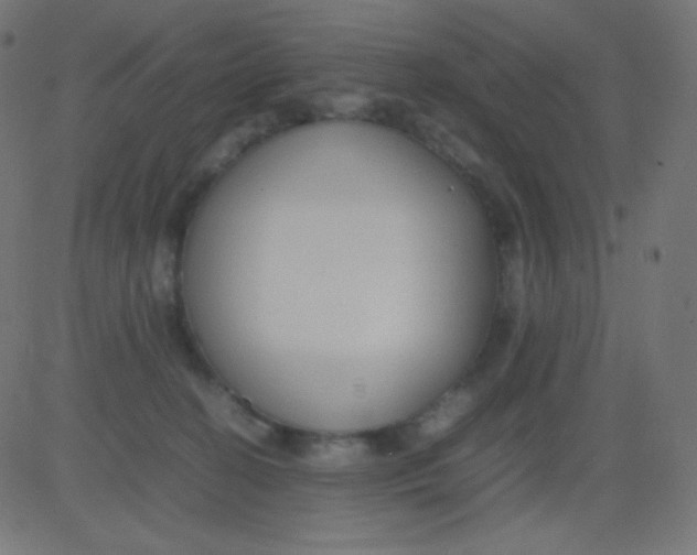 X0000081310274200702012342