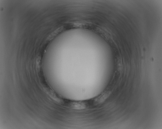 X0000081310275200702012342