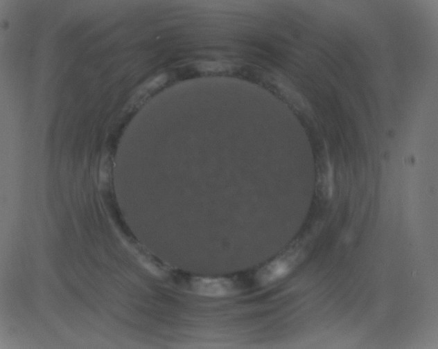 X0000081310277200702012342