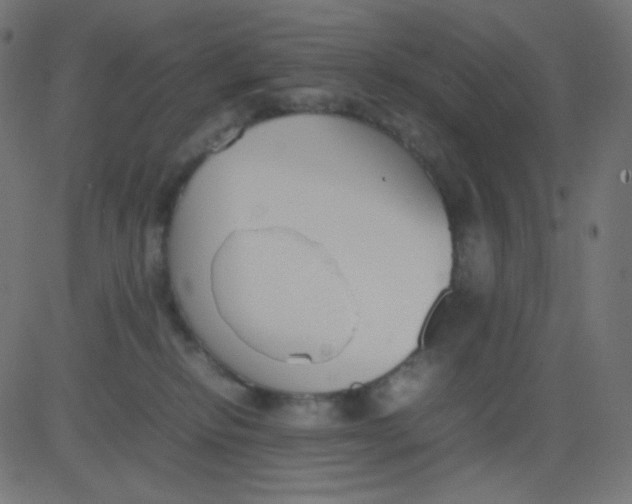 X0000081310278200702012342