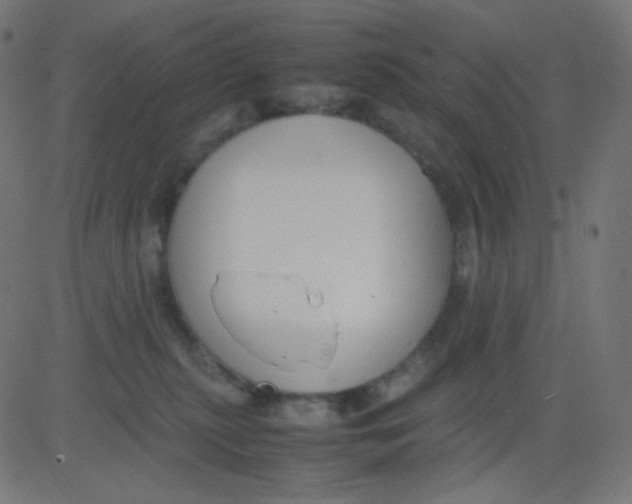 X0000081310279200702012342