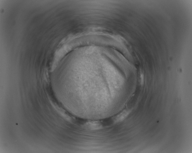 X0000081310280200702012342