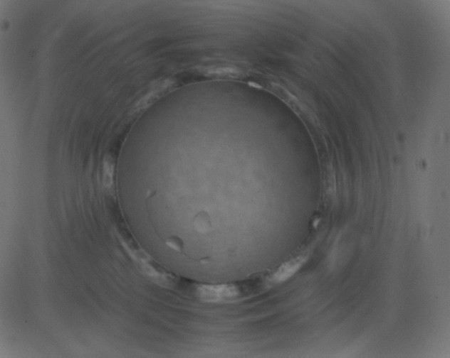 X0000081310281200702012342