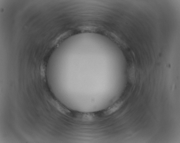 X0000081310282200702012342