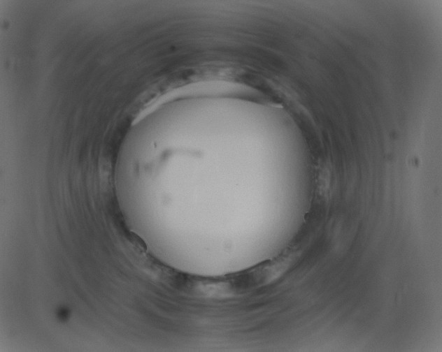 X0000081310283200702012342