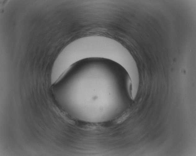 X0000081310284200702012342