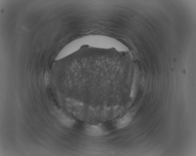 X0000081310285200702012342