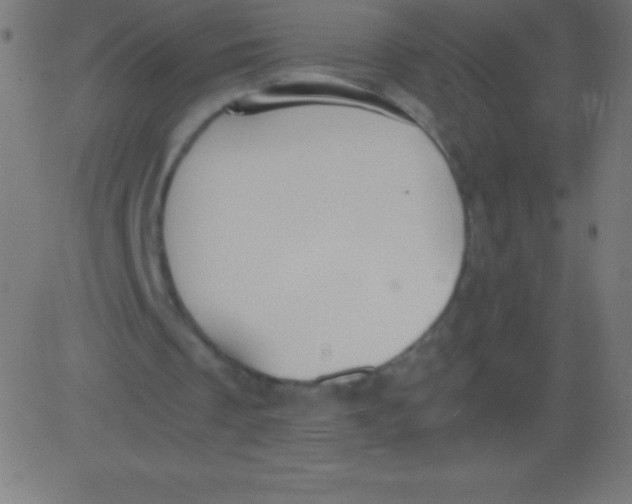 X0000081310289200702012341