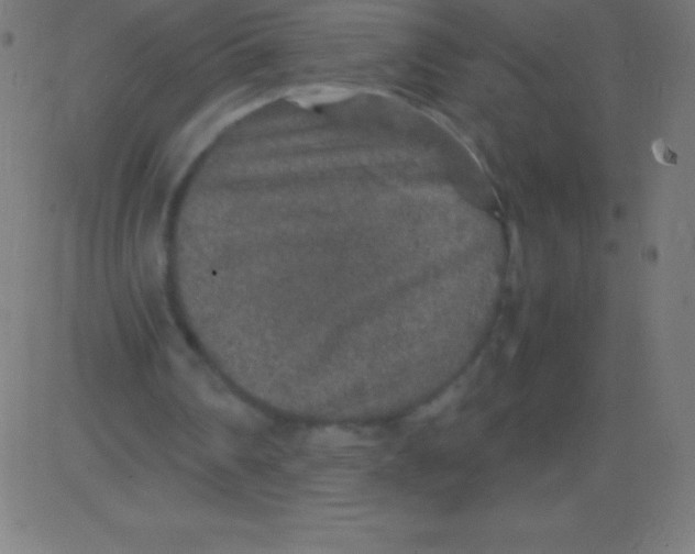 X0000081310290200702012341