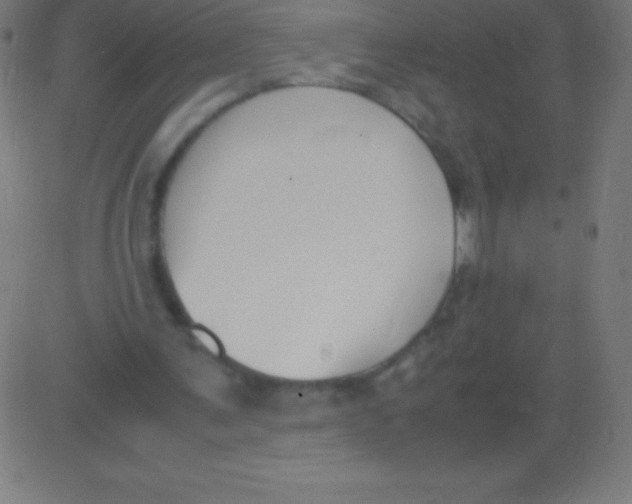 X0000081310291200702012341