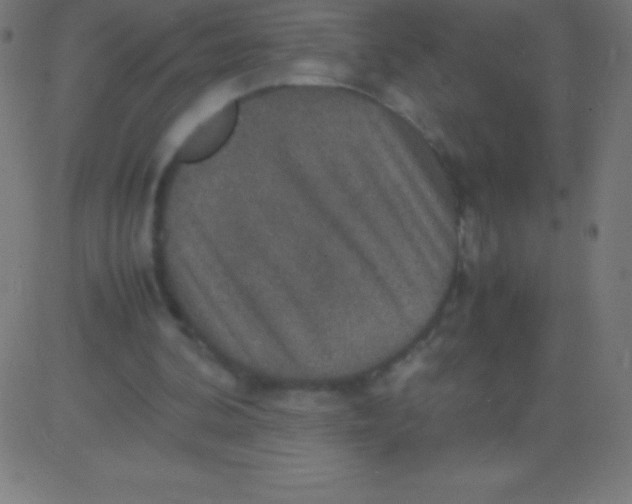 X0000081310292200702012341