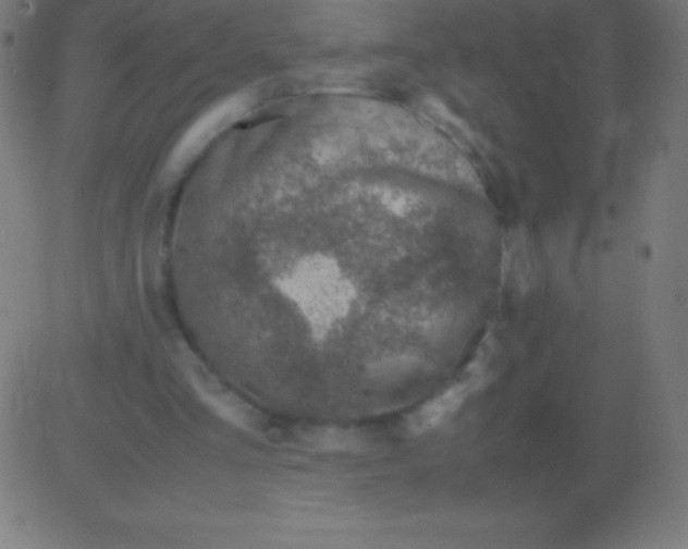 X0000081310293200702012341