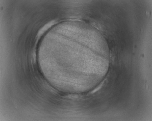 X0000081310294200702012341