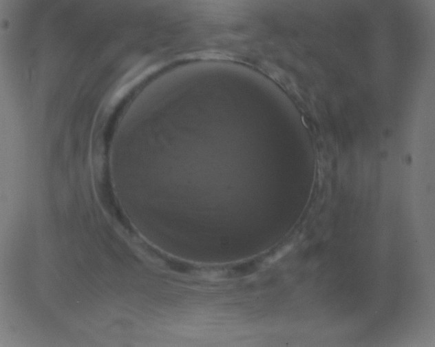 X0000081310295200702012341