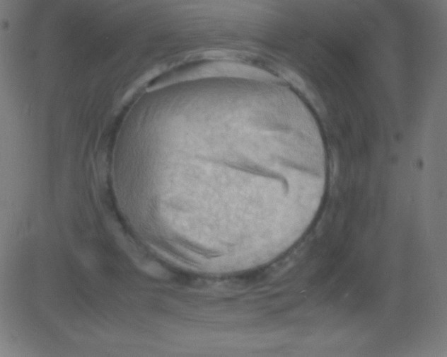 X0000081310297200702012341