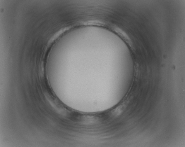 X0000081310298200702012341