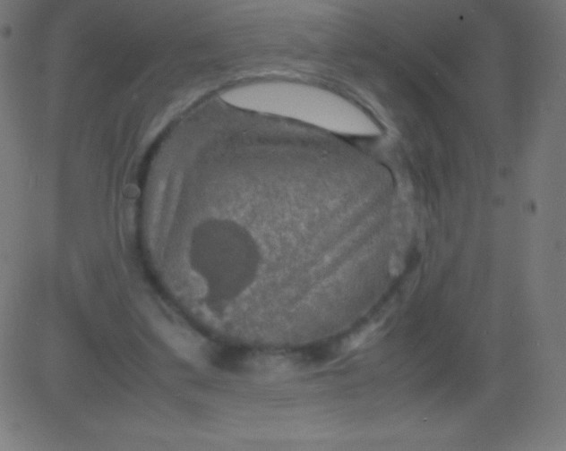 X0000081310299200702012341