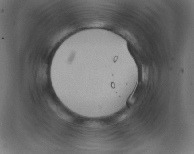 X0000081310300200702012341