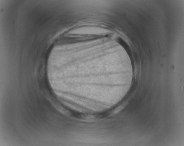 X0000081310301200702012341