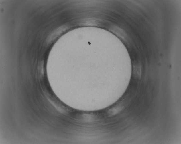 X0000081310302200702012341