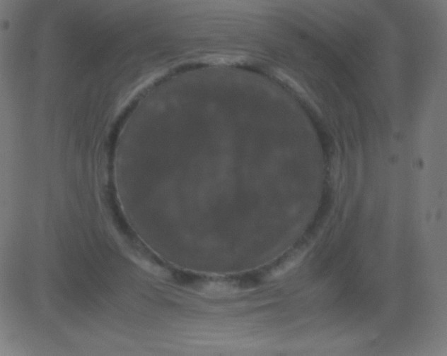 X0000081310303200702012341