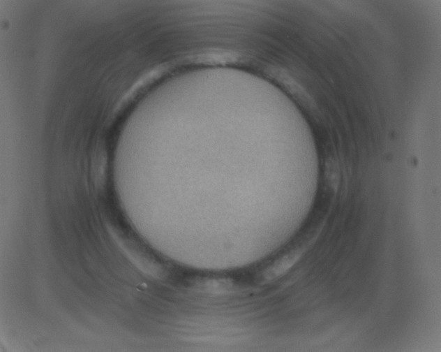 X0000081310304200702012341