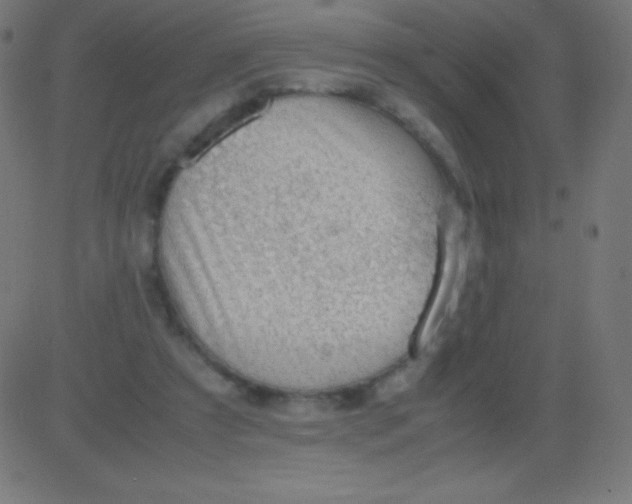 X0000081310305200702012341