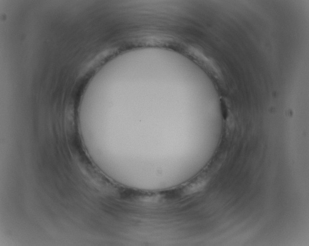 X0000081310306200702012341